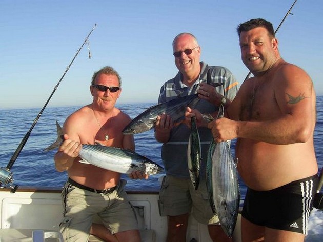 north atlantic bonito Cavalier & Blue Marlin Sport Fishing Gran Canaria