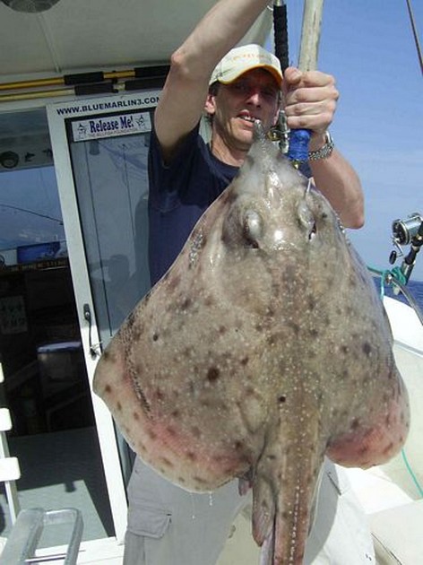 blonde ray Cavalier & Blue Marlin Sport Fishing Gran Canaria