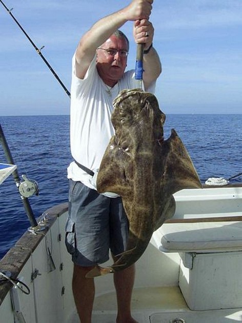 angel shark Cavalier & Blue Marlin Sport Fishing Gran Canaria