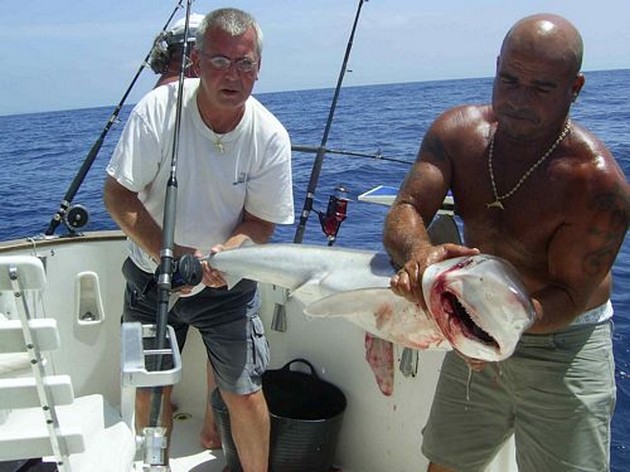 tope Cavalier & Blue Marlin Sport Fishing Gran Canaria