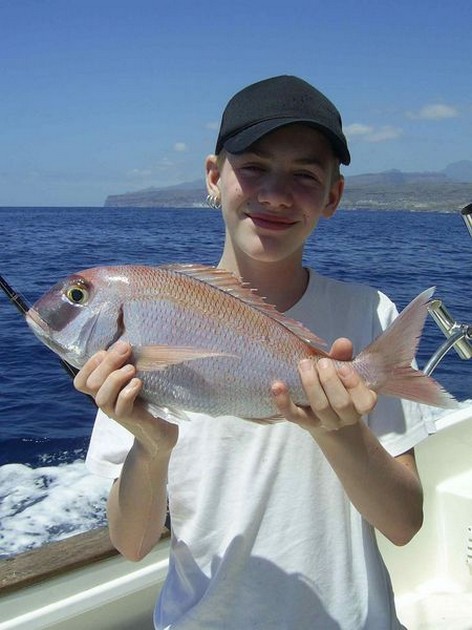 red snapper Cavalier & Blue Marlin Sport Fishing Gran Canaria