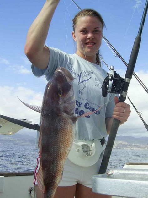 eagle ray Cavalier & Blue Marlin Sport Fishing Gran Canaria