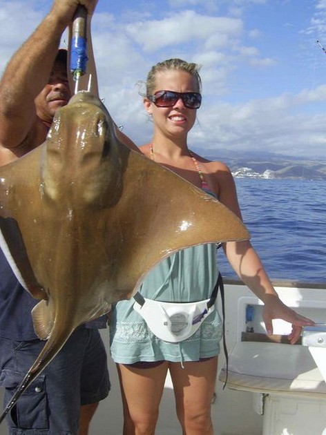 angel shark Cavalier & Blue Marlin Sport Fishing Gran Canaria