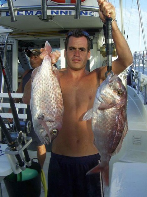 octopus Cavalier & Blue Marlin Sport Fishing Gran Canaria