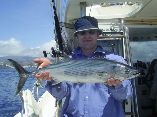 north atlantic bonito Cavalier & Blue Marlin Sport Fishing Gran Canaria