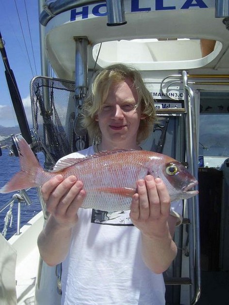 red snapper Cavalier & Blue Marlin Sport Fishing Gran Canaria
