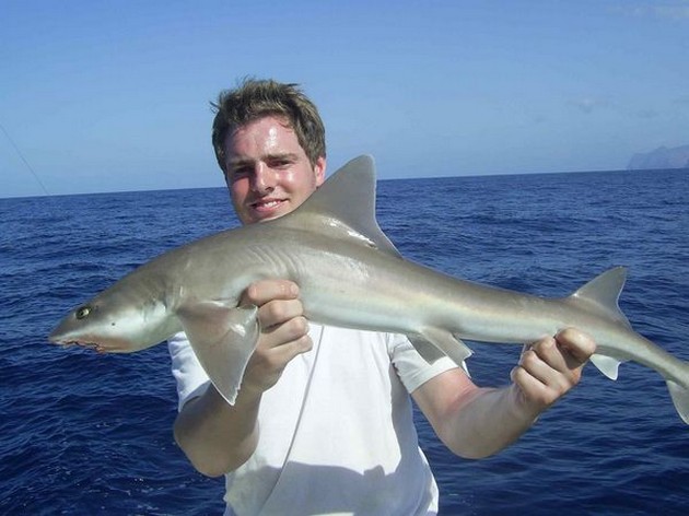 smooth hound Cavalier & Blue Marlin Sport Fishing Gran Canaria