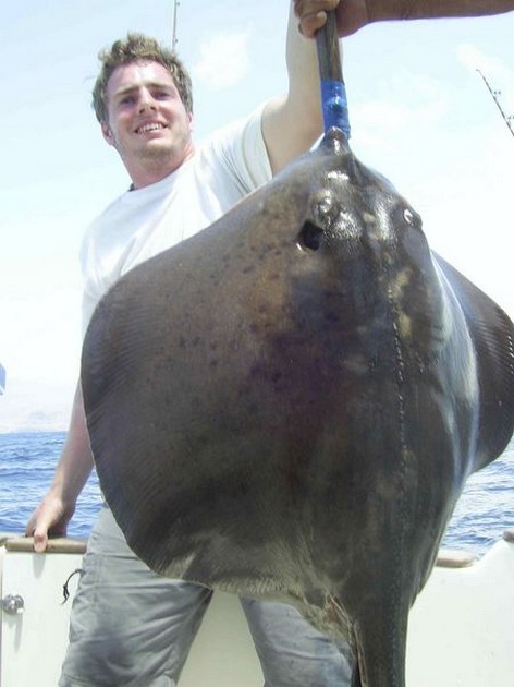 roughtail stingray Cavalier & Blue Marlin Sport Fishing Gran Canaria