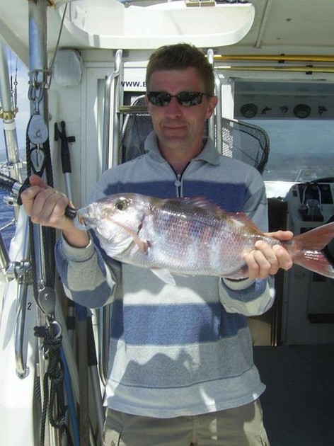 red snapper Cavalier & Blue Marlin Sport Fishing Gran Canaria