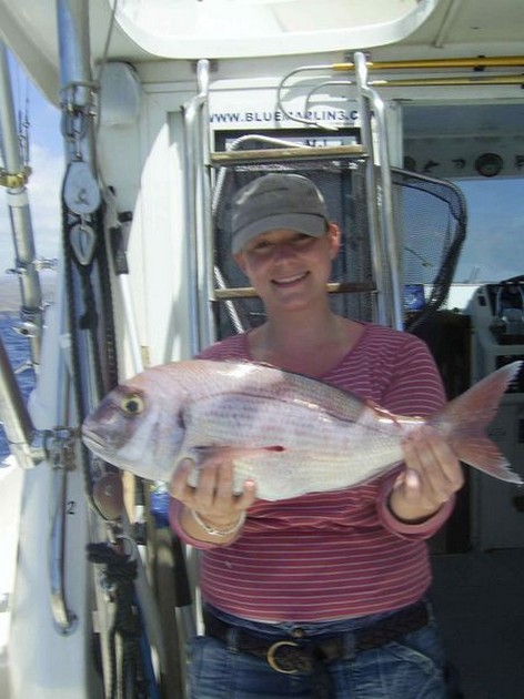 red snapper Cavalier & Blue Marlin Sport Fishing Gran Canaria