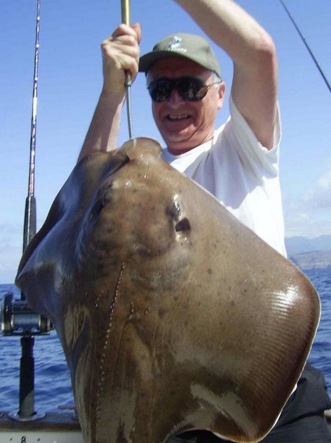 roughtail stingray Cavalier & Blue Marlin Sport Fishing Gran Canaria