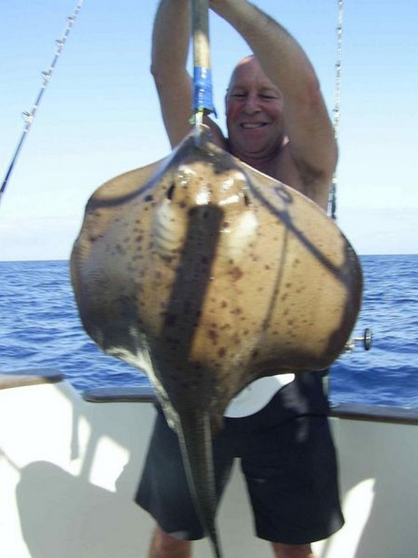roughtail stingray Cavalier & Blue Marlin Sport Fishing Gran Canaria