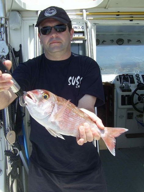 red snapper Cavalier & Blue Marlin Sport Fishing Gran Canaria