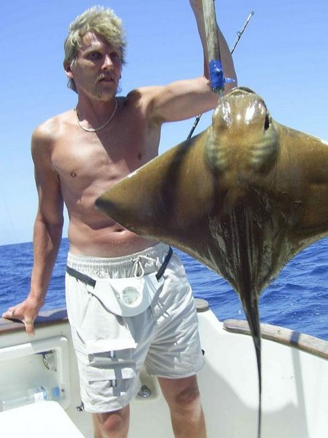 eagle ray Cavalier & Blue Marlin Sport Fishing Gran Canaria