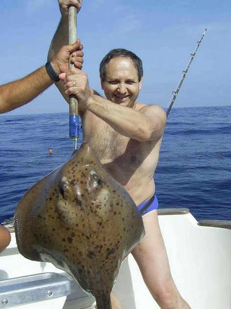 roughtail stingray Cavalier & Blue Marlin Sport Fishing Gran Canaria