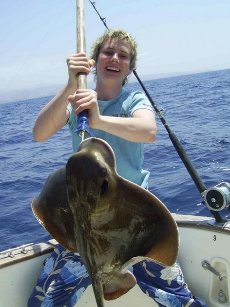 eagle ray Cavalier & Blue Marlin Sport Fishing Gran Canaria