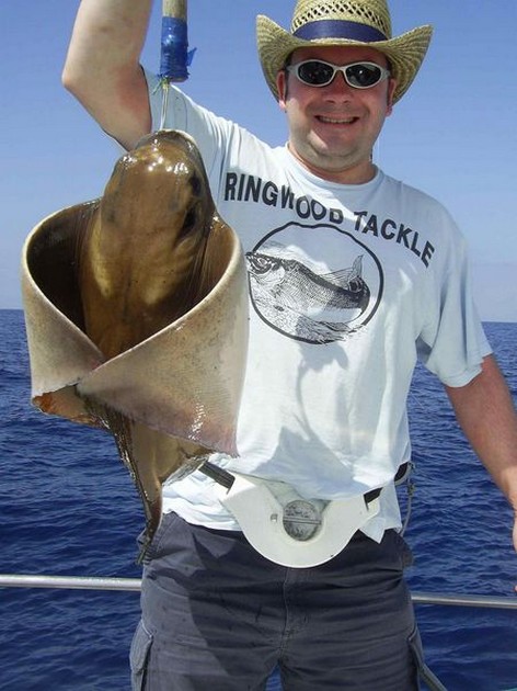 eagle ray Cavalier & Blue Marlin Sport Fishing Gran Canaria