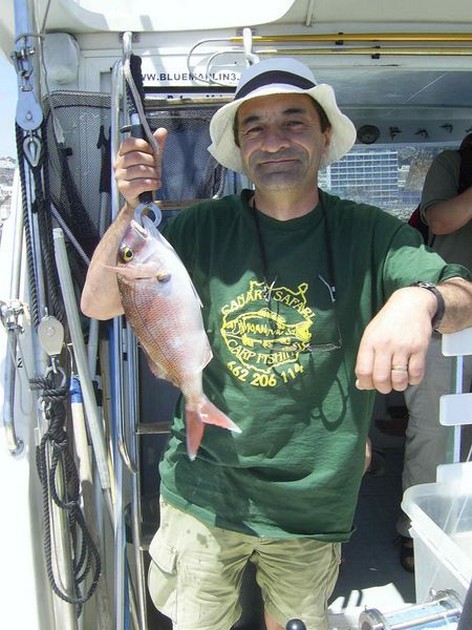 red snapper Cavalier & Blue Marlin Sport Fishing Gran Canaria
