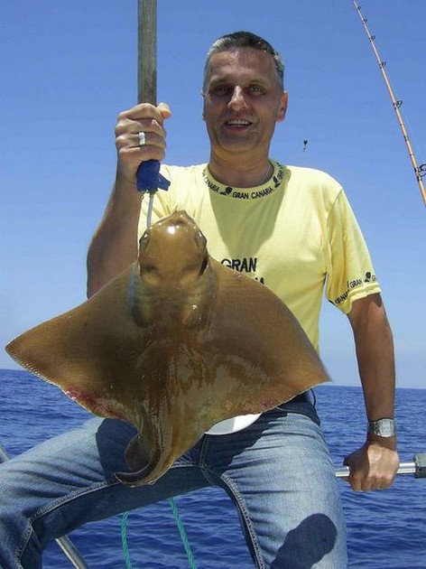 eagle ray Cavalier & Blue Marlin Sport Fishing Gran Canaria