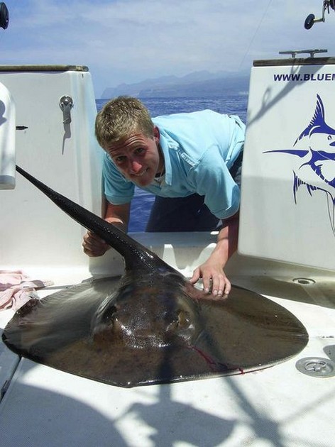 round stingray Cavalier & Blue Marlin Sport Fishing Gran Canaria
