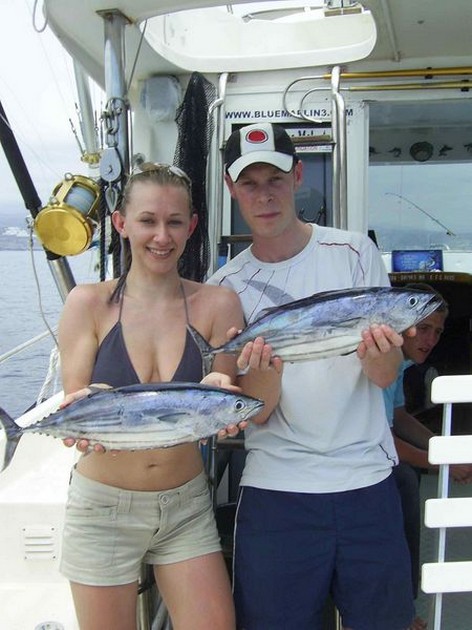 skipjack tuna Cavalier & Blue Marlin Sport Fishing Gran Canaria