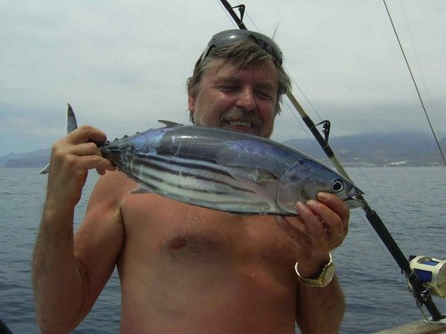 skipjack tuna Cavalier & Blue Marlin Sport Fishing Gran Canaria