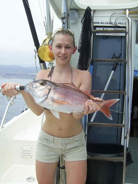 red snapper Cavalier & Blue Marlin Sport Fishing Gran Canaria