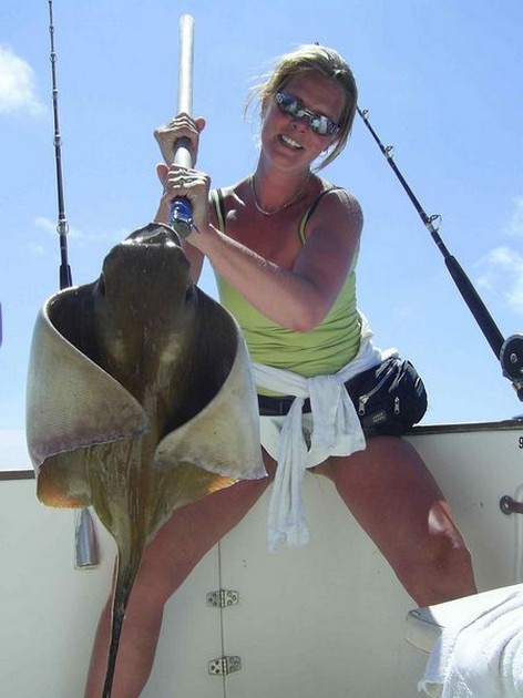 eagle ray Cavalier & Blue Marlin Sport Fishing Gran Canaria