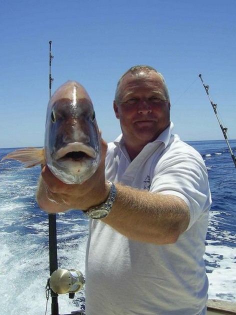 red snapper Cavalier & Blue Marlin Sport Fishing Gran Canaria