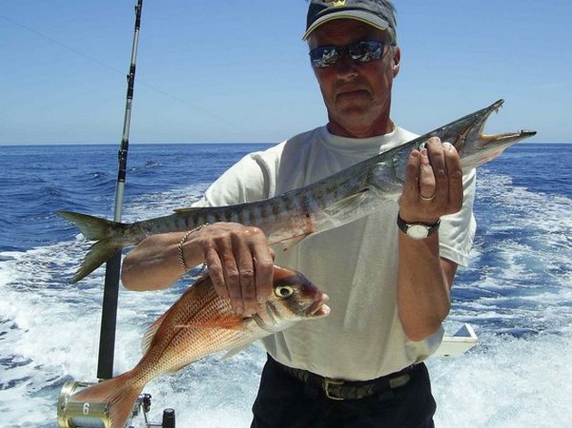 red snapper & baracuda Cavalier & Blue Marlin Sport Fishing Gran Canaria