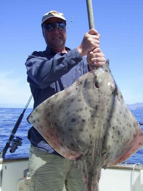 thornback ray Cavalier & Blue Marlin Sport Fishing Gran Canaria