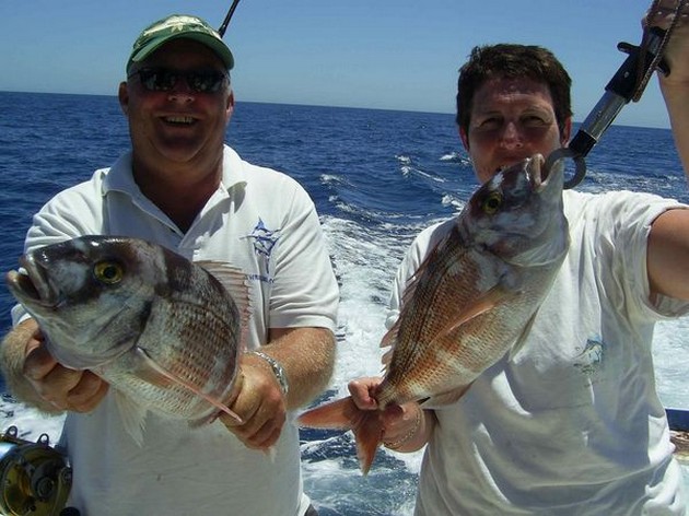 red snapper Cavalier & Blue Marlin Sport Fishing Gran Canaria