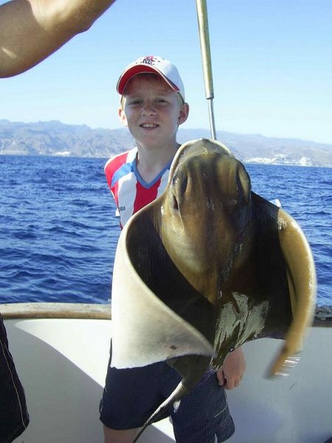 eagle ray Cavalier & Blue Marlin Sport Fishing Gran Canaria