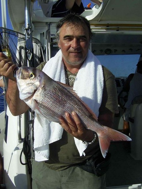 red snapper Cavalier & Blue Marlin Sport Fishing Gran Canaria