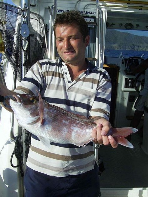 red snapper Cavalier & Blue Marlin Sport Fishing Gran Canaria
