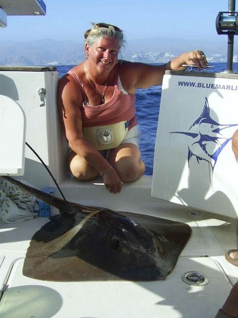 common stingray Cavalier & Blue Marlin Sport Fishing Gran Canaria