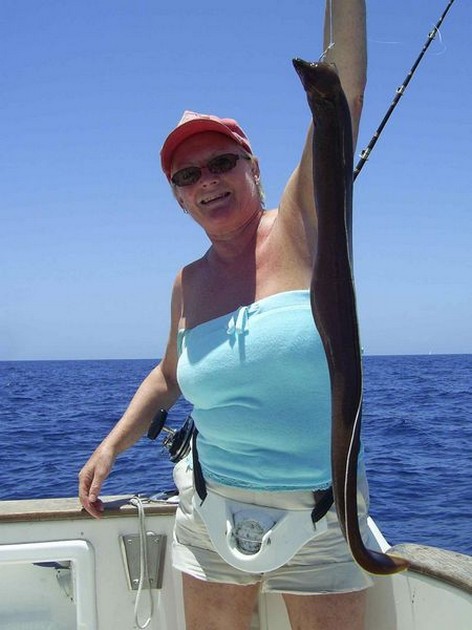 brown moray eel Cavalier & Blue Marlin Sport Fishing Gran Canaria