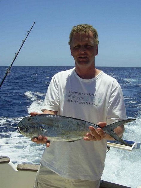 dorado Cavalier & Blue Marlin Sport Fishing Gran Canaria