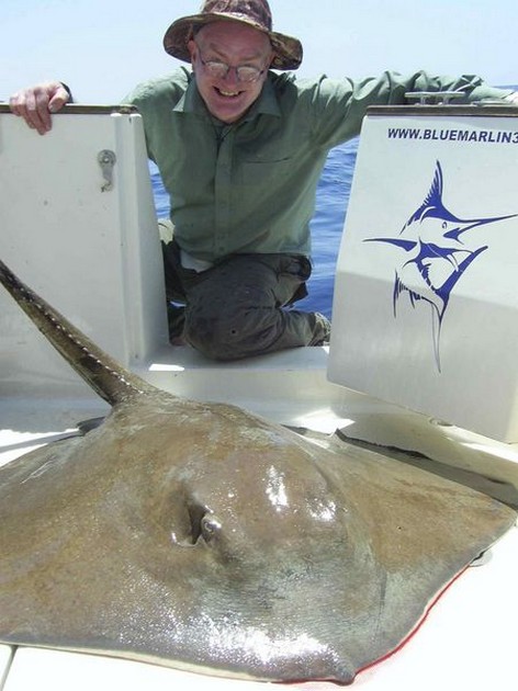 common stingray Cavalier & Blue Marlin Sport Fishing Gran Canaria