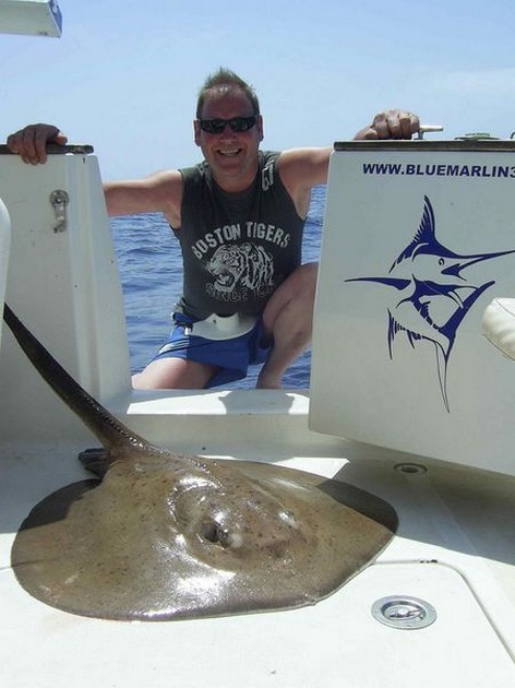 roughtail stingray Cavalier & Blue Marlin Sport Fishing Gran Canaria