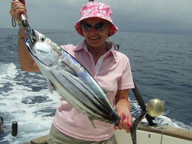 skipjack tuna Cavalier & Blue Marlin Sport Fishing Gran Canaria