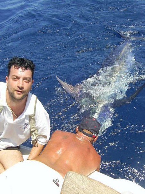 blue marlin Cavalier & Blue Marlin Sport Fishing Gran Canaria