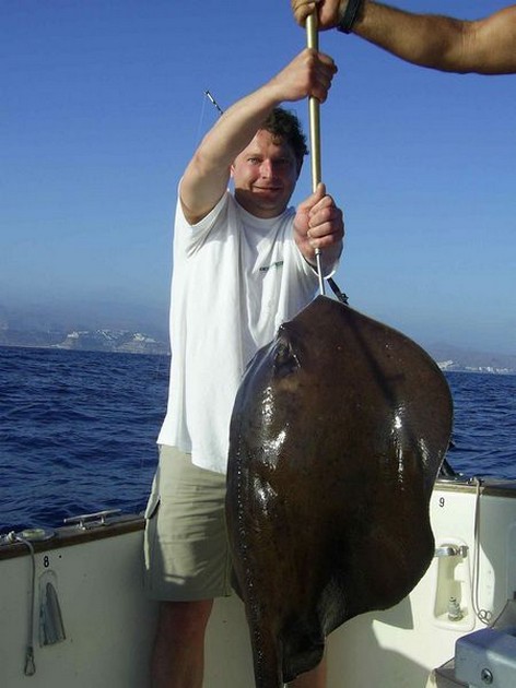 roughtail stingray Cavalier & Blue Marlin Sport Fishing Gran Canaria
