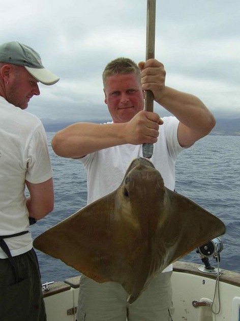 eagle ray Cavalier & Blue Marlin Sport Fishing Gran Canaria