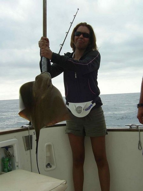 cownose ray Cavalier & Blue Marlin Sport Fishing Gran Canaria