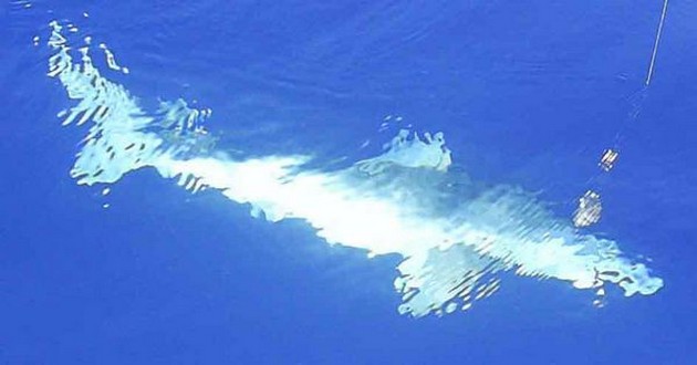 tope Cavalier & Blue Marlin Sport Fishing Gran Canaria