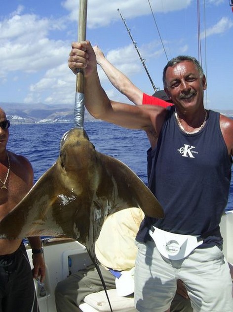 eagle ray Cavalier & Blue Marlin Sport Fishing Gran Canaria