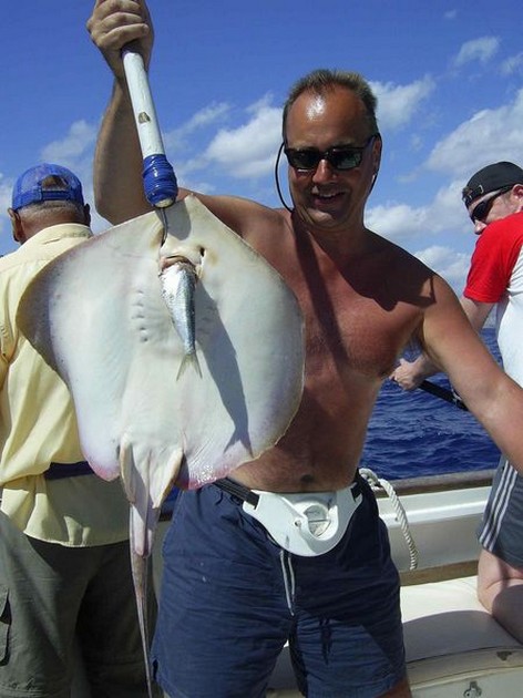 common stingray Cavalier & Blue Marlin Sport Fishing Gran Canaria