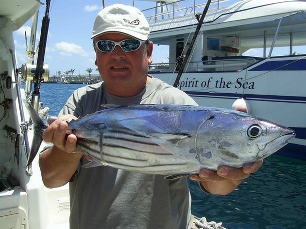 skipjack tuna Cavalier & Blue Marlin Sport Fishing Gran Canaria