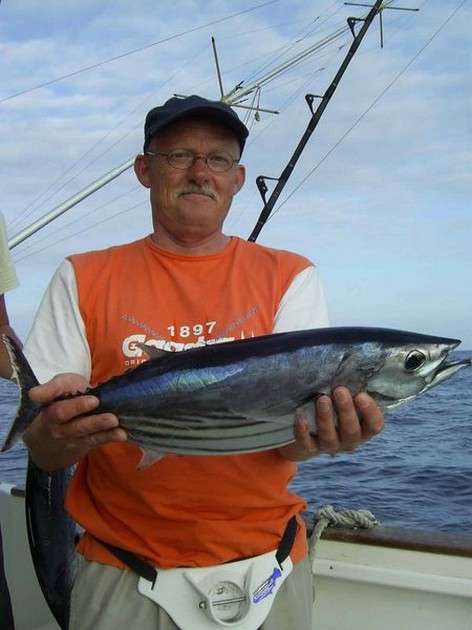skipjack tuna Cavalier & Blue Marlin Sport Fishing Gran Canaria